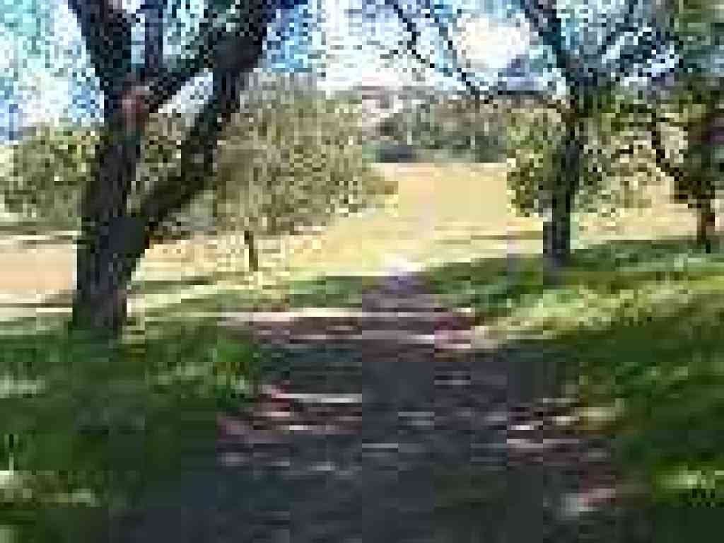 Junction