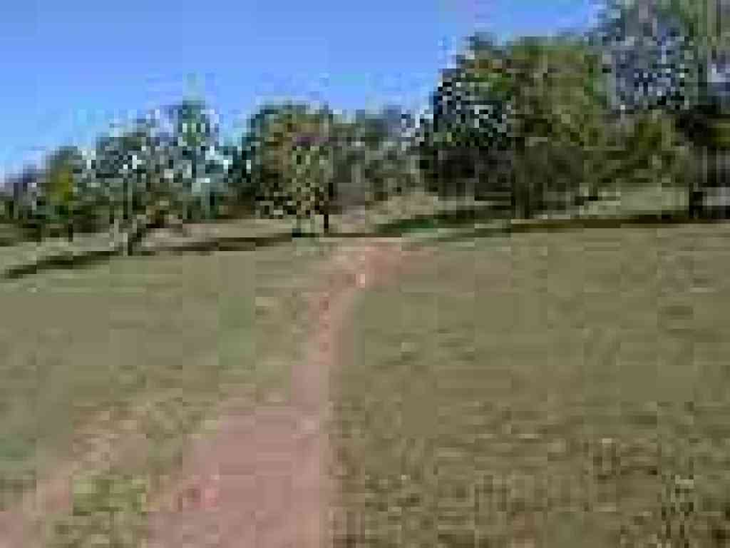 Deer Camp Fire Road