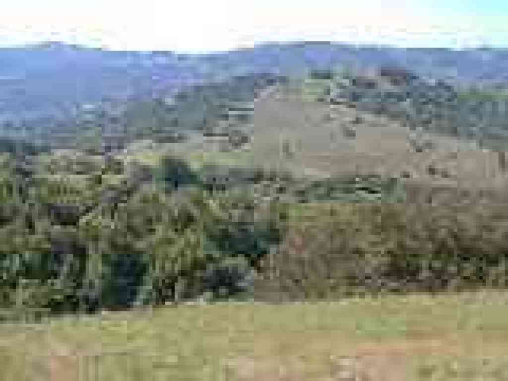 View south