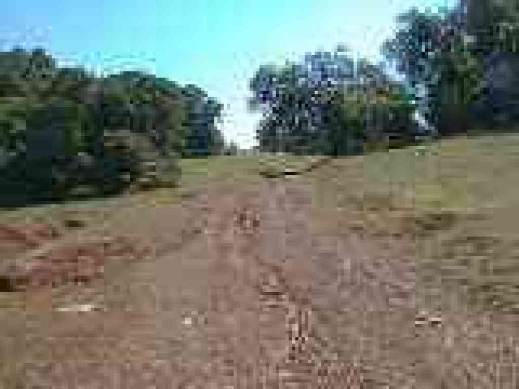Cobblestone Fire Road