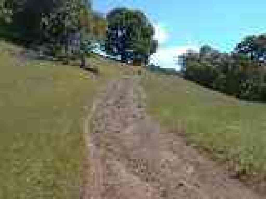 Climbing
