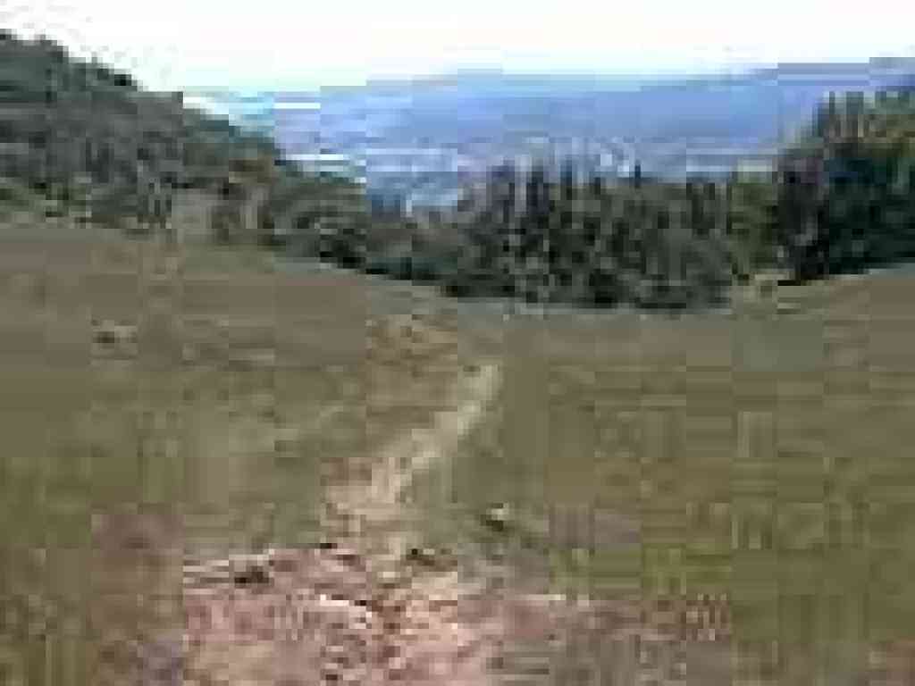 Old Quarry Trail