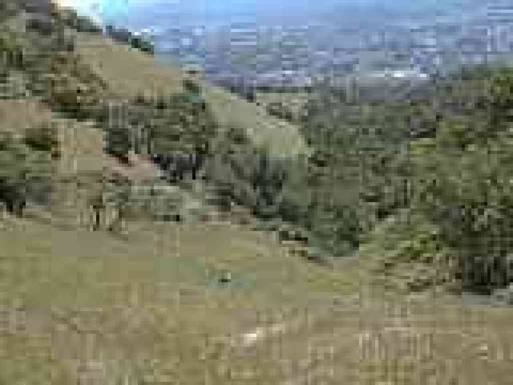 View downhill