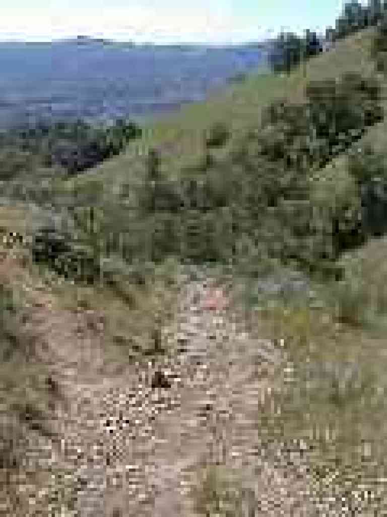 Steep and rocky