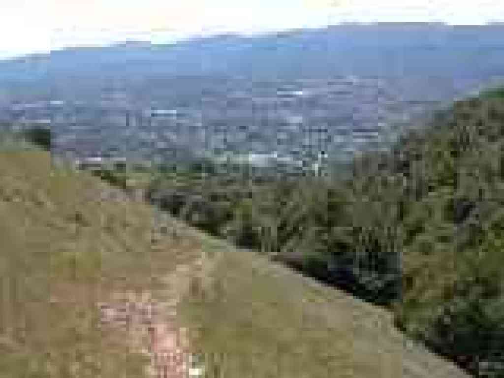 View south from the trail