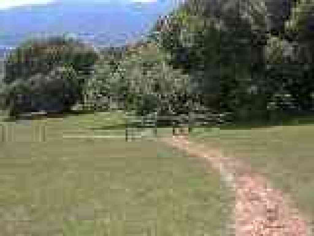 Cattle gate