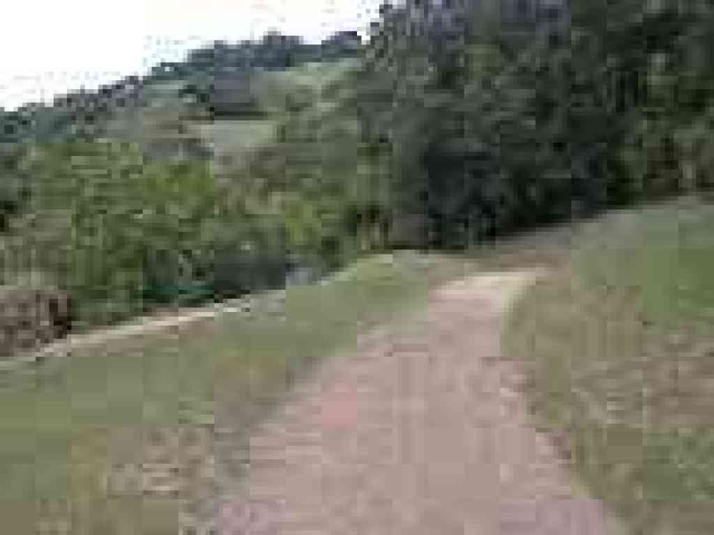 San Carlos Fire Road