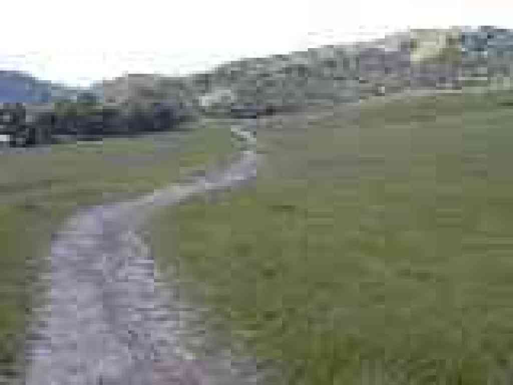 Michako Trail