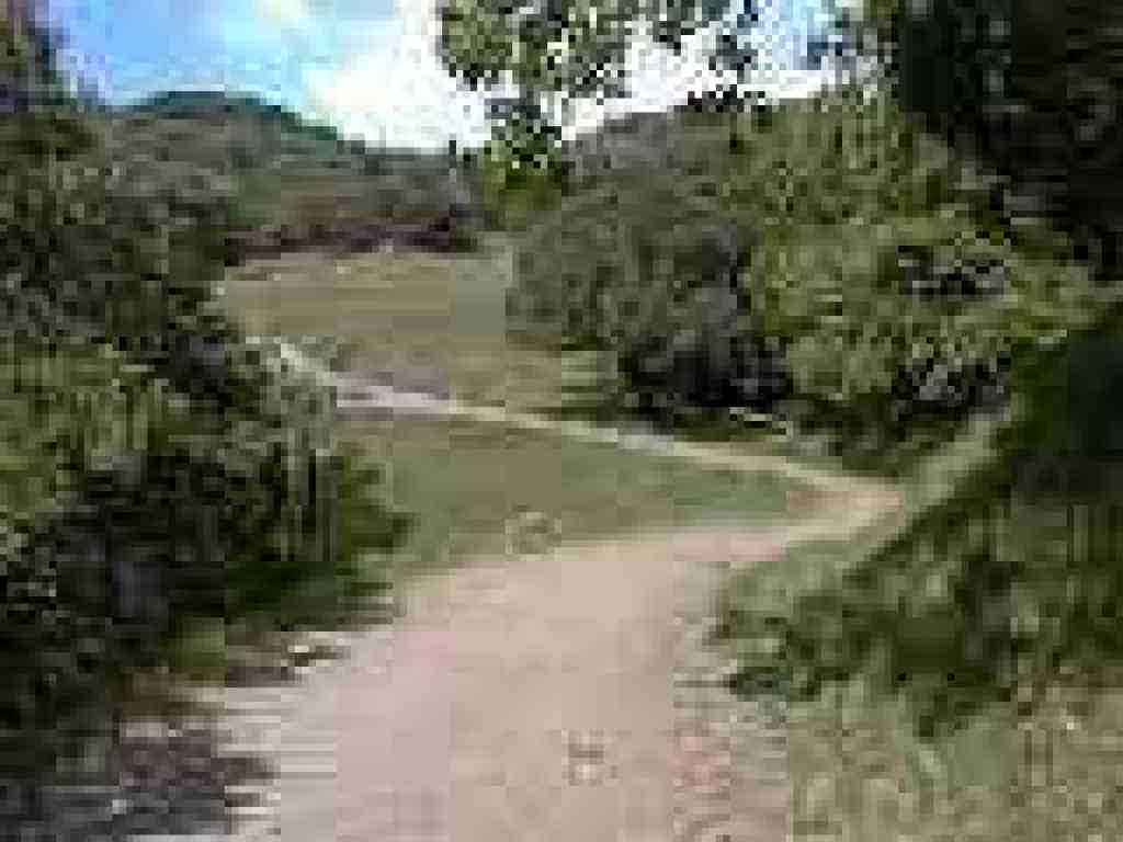 San Marin Fire Road