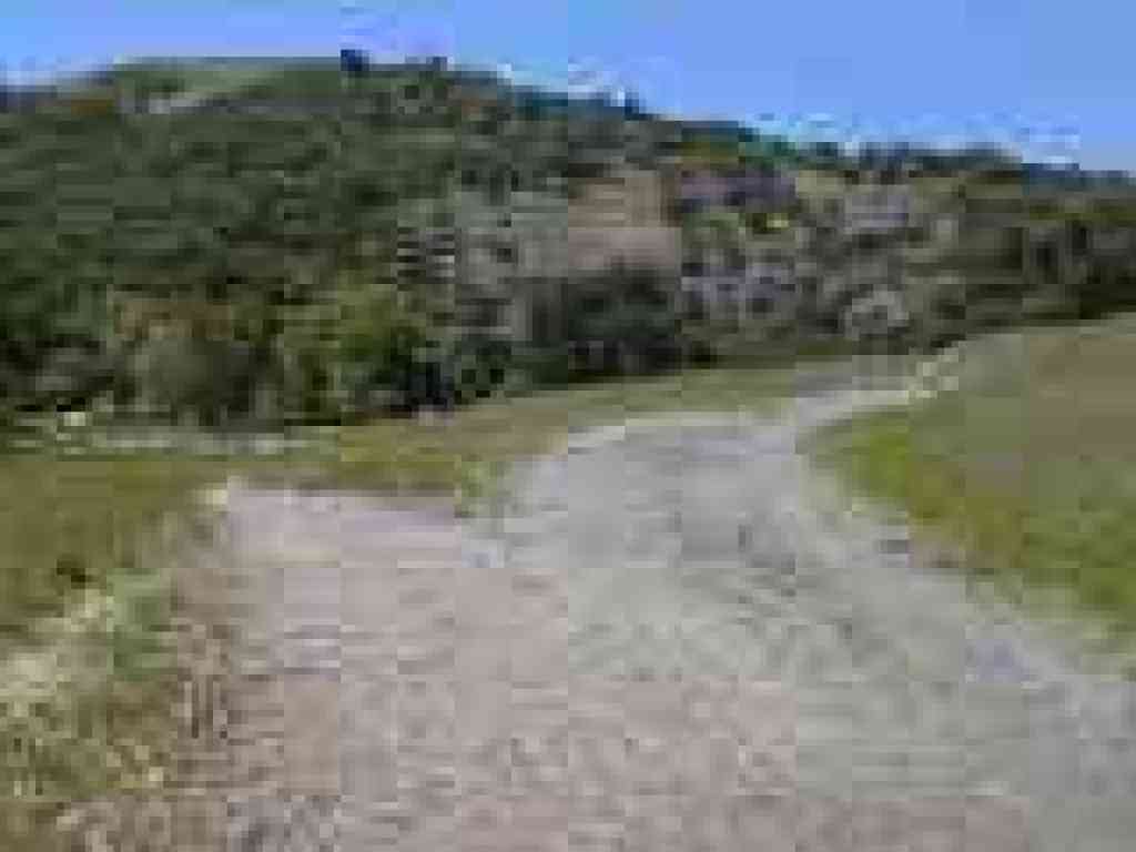 Split near the preserve entrance