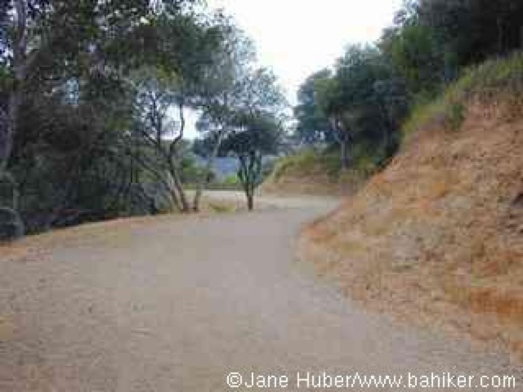 Escalon Fire Road