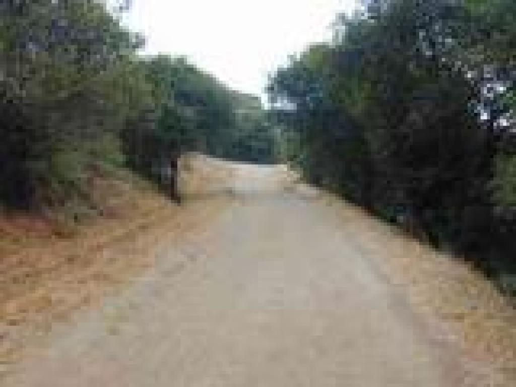 Escalon Fire Road