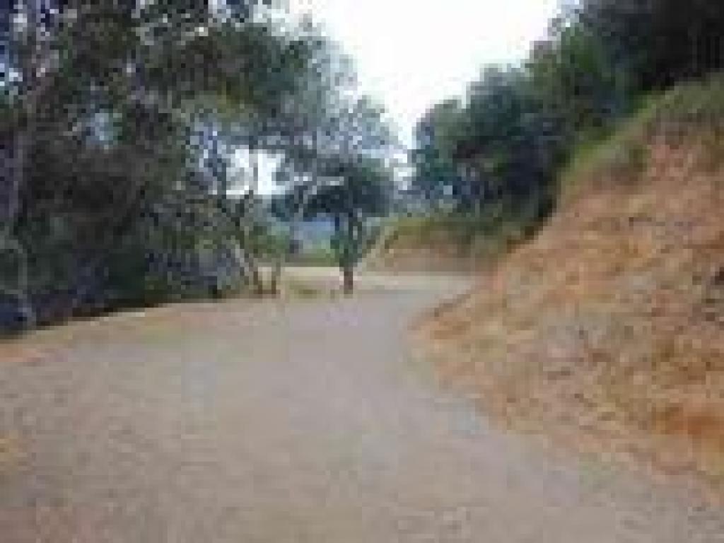 Escalon Fire Road