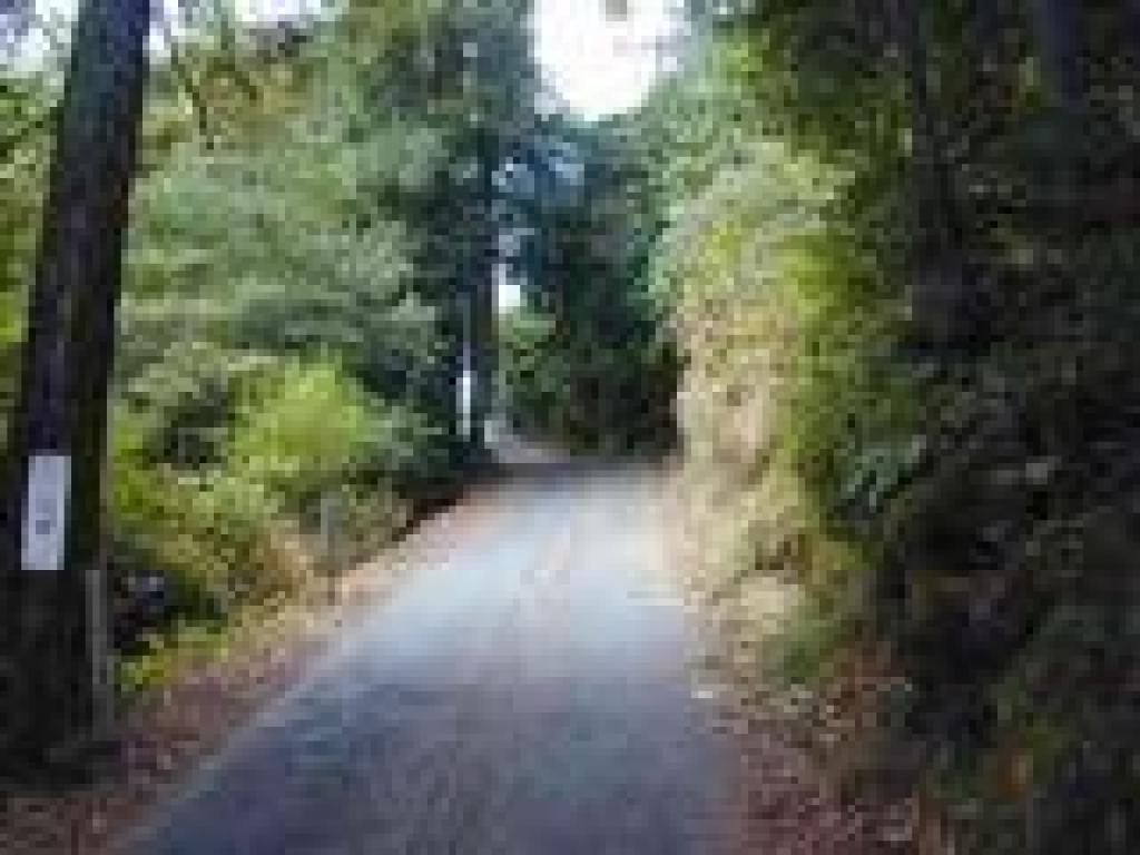 Climbing Summit Road