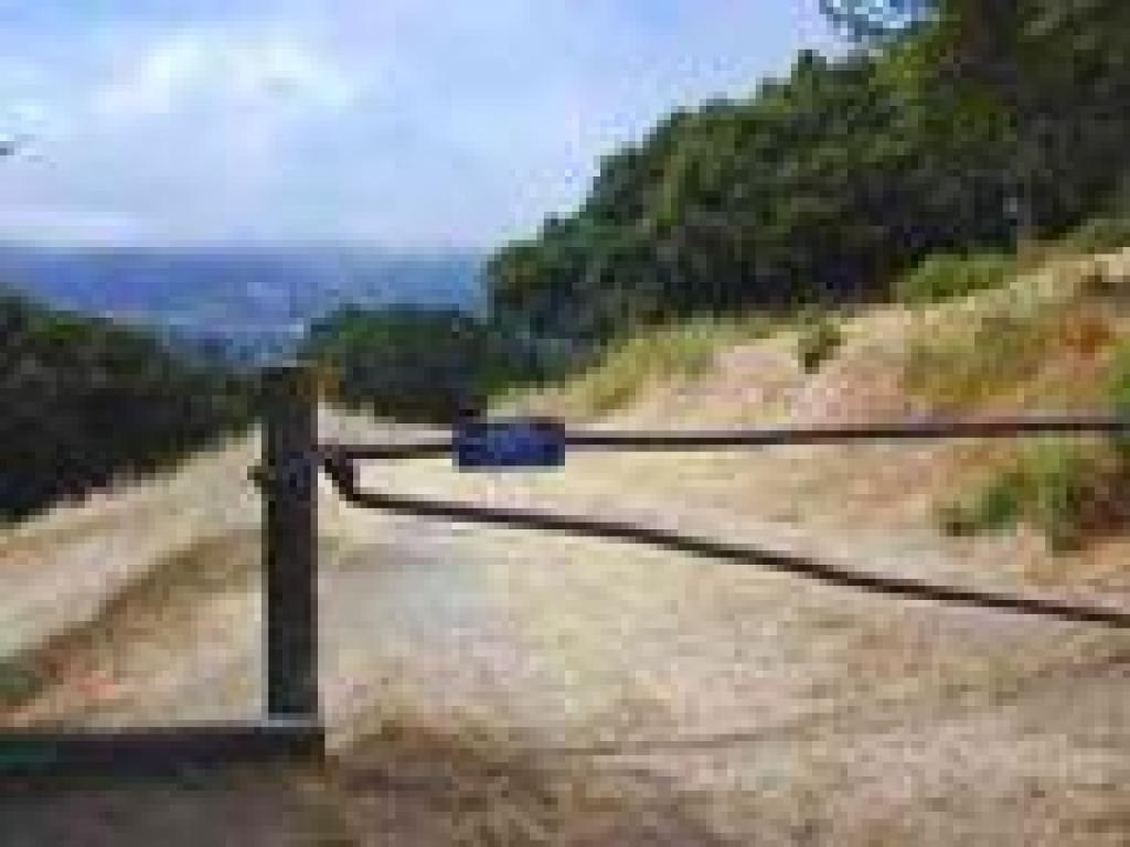Gate