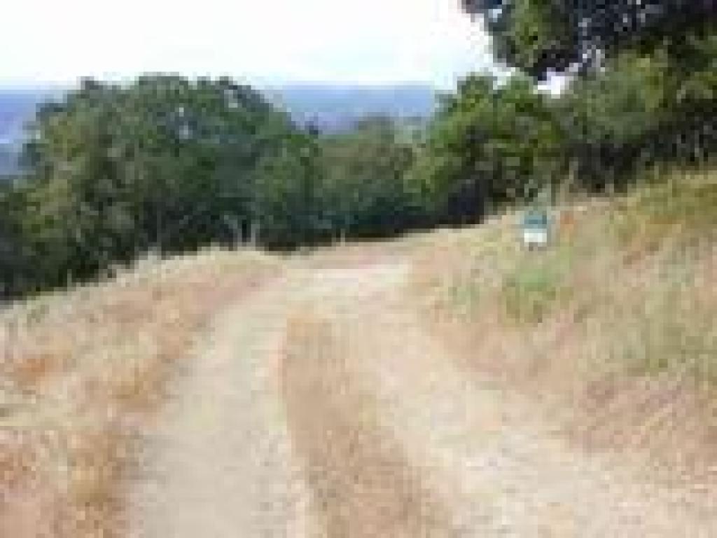 Middle Summit Fire Road