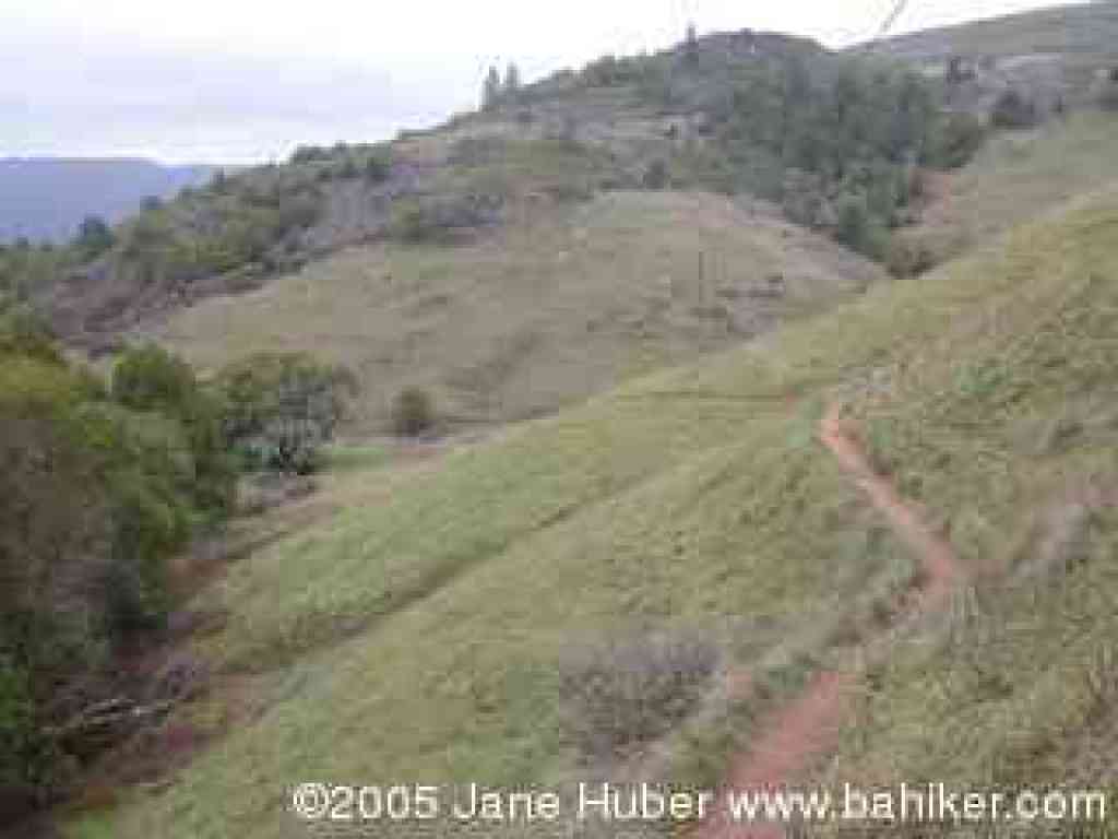 Little Carson Trail