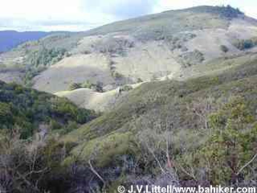 View north to Pine Mountain, from Oat Hill Fire Road