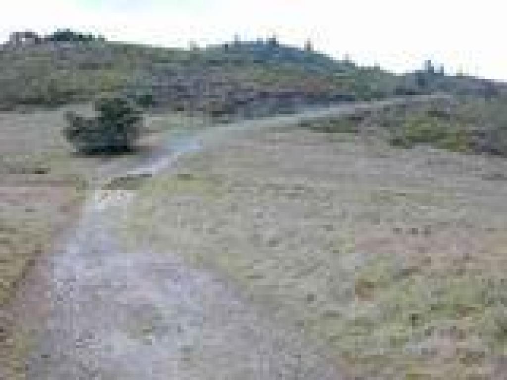 Approaching junction