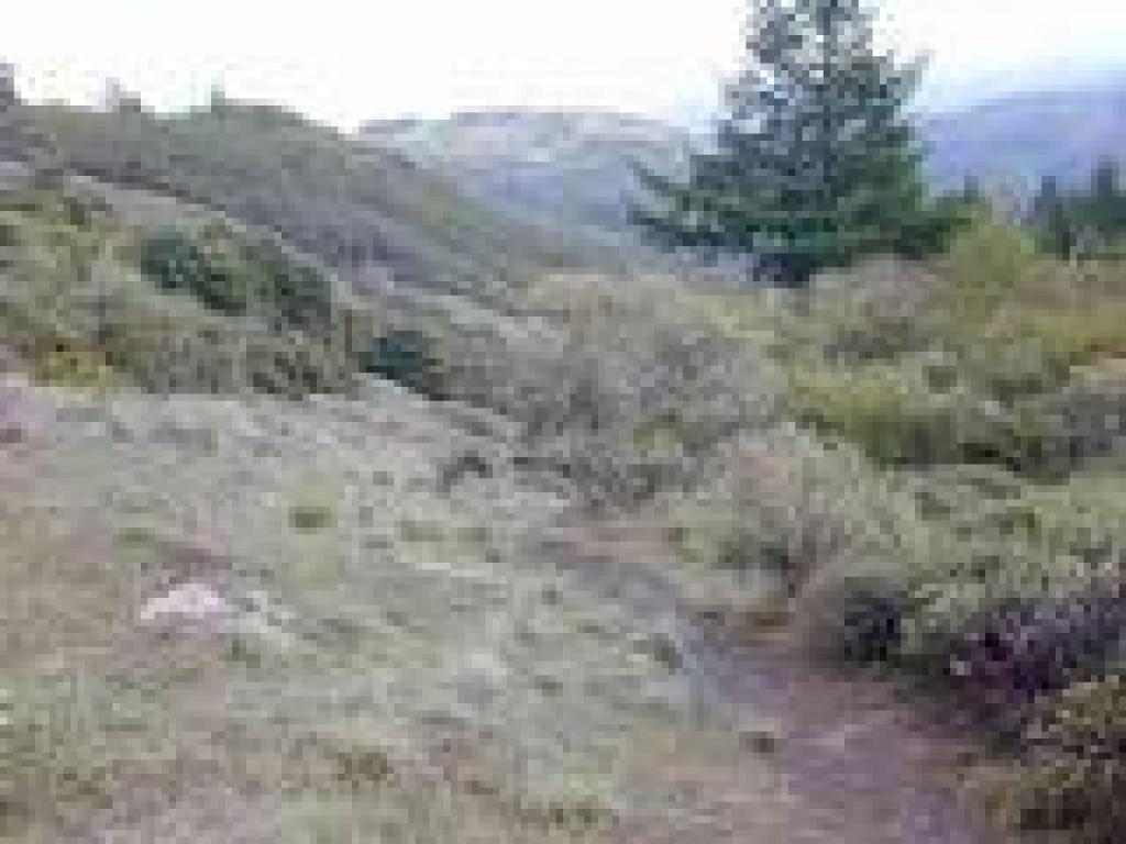 A view south along Old Sled