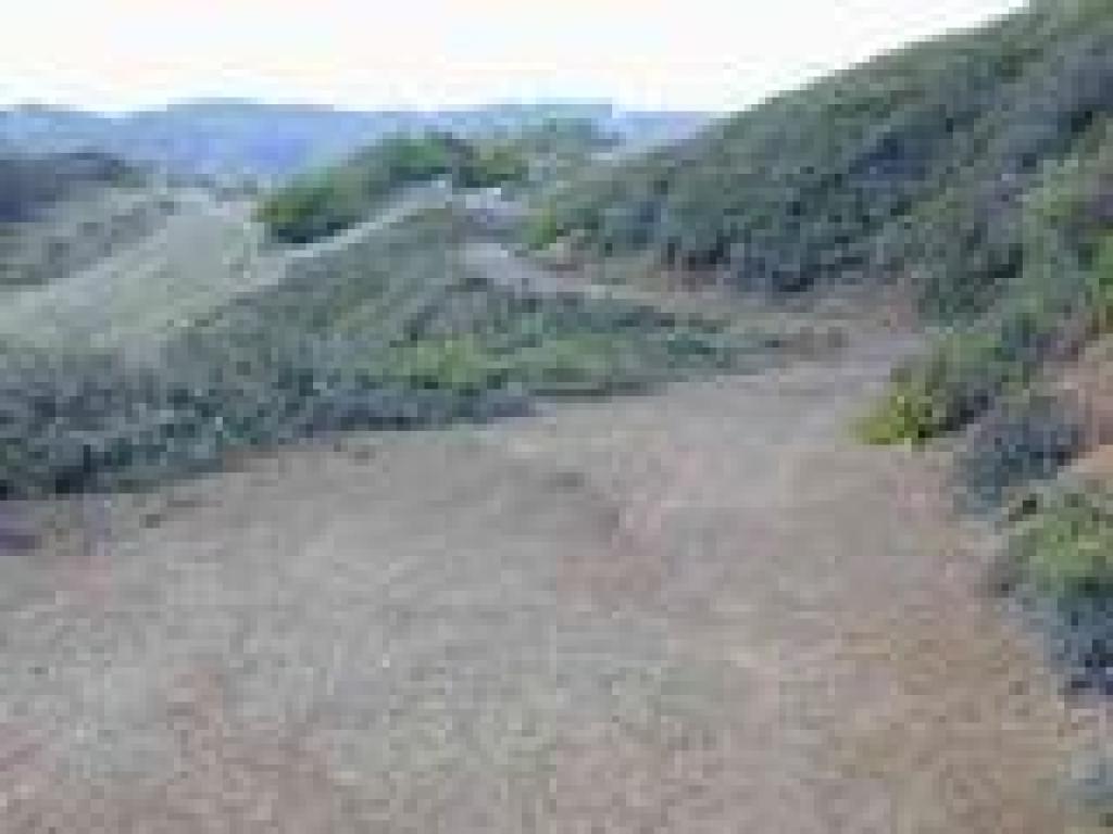 Oat Hill Road