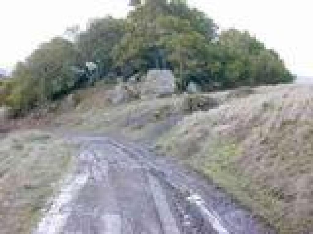 Junction