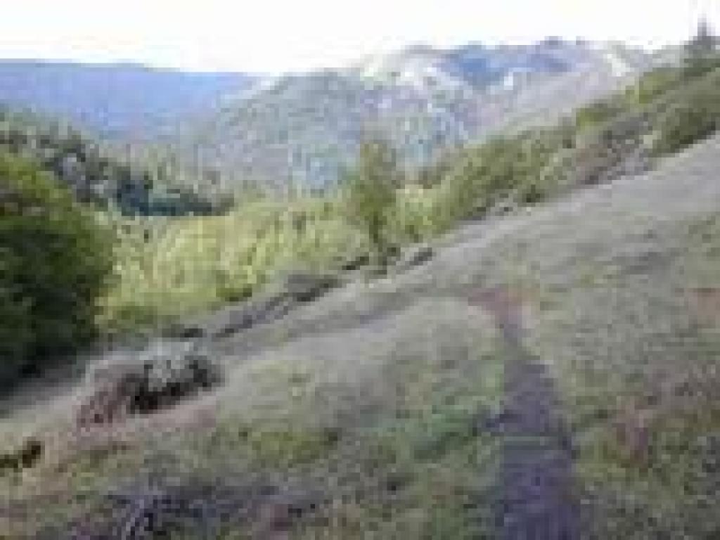 Trail curves left