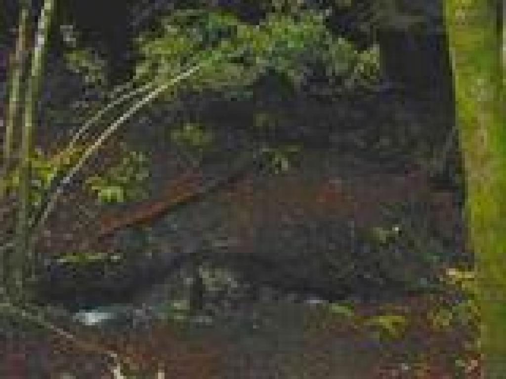 Creek crossing