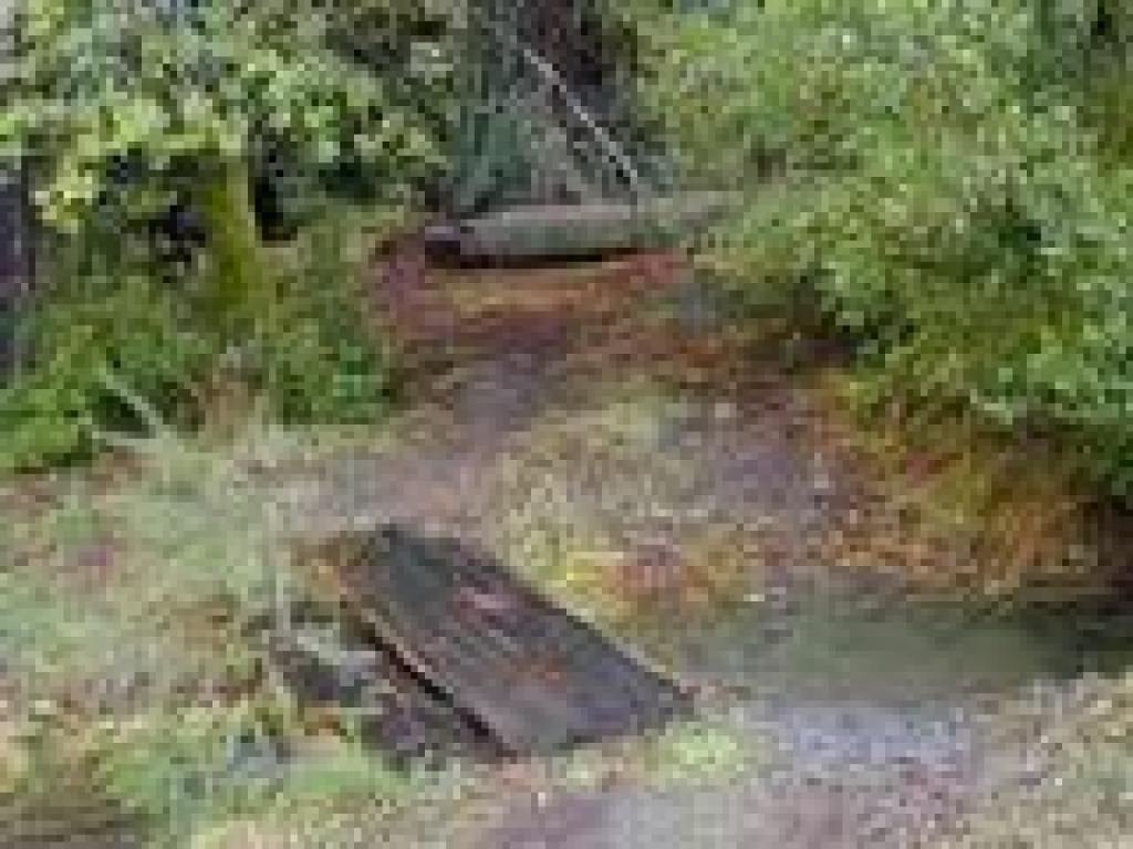Creek crossing