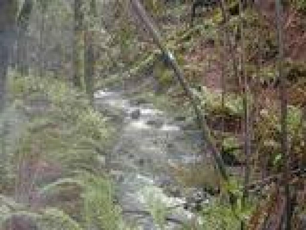 Little Carson Creek