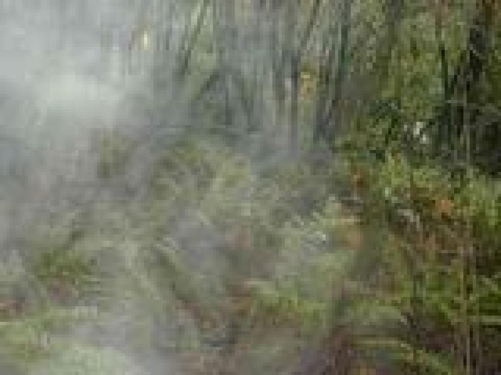 Camera fogged up