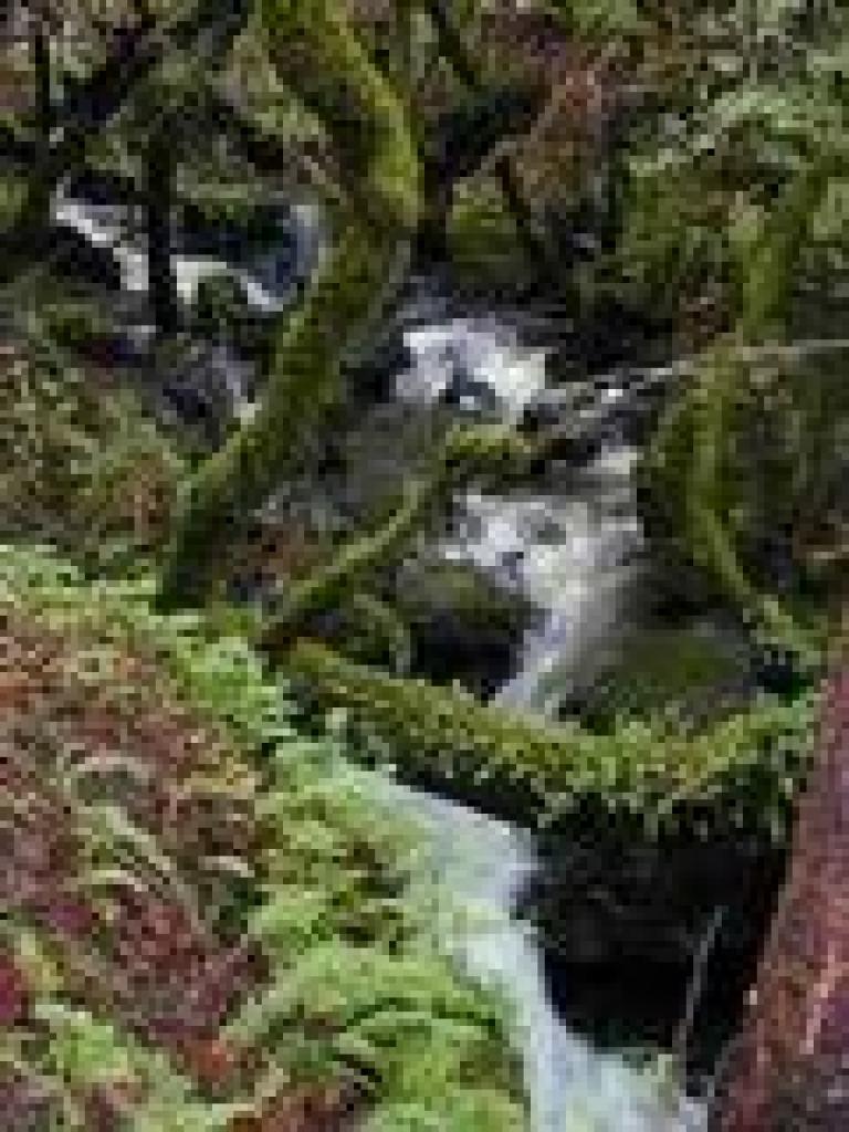 Little Carson Creek