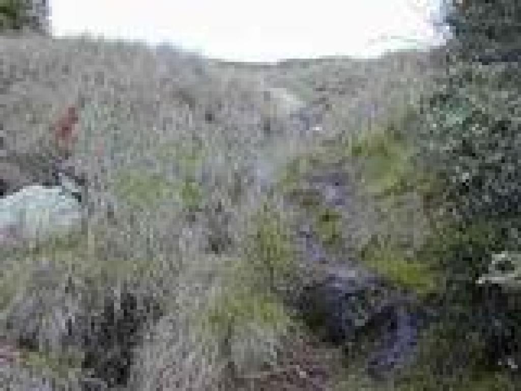 Continuing uphill