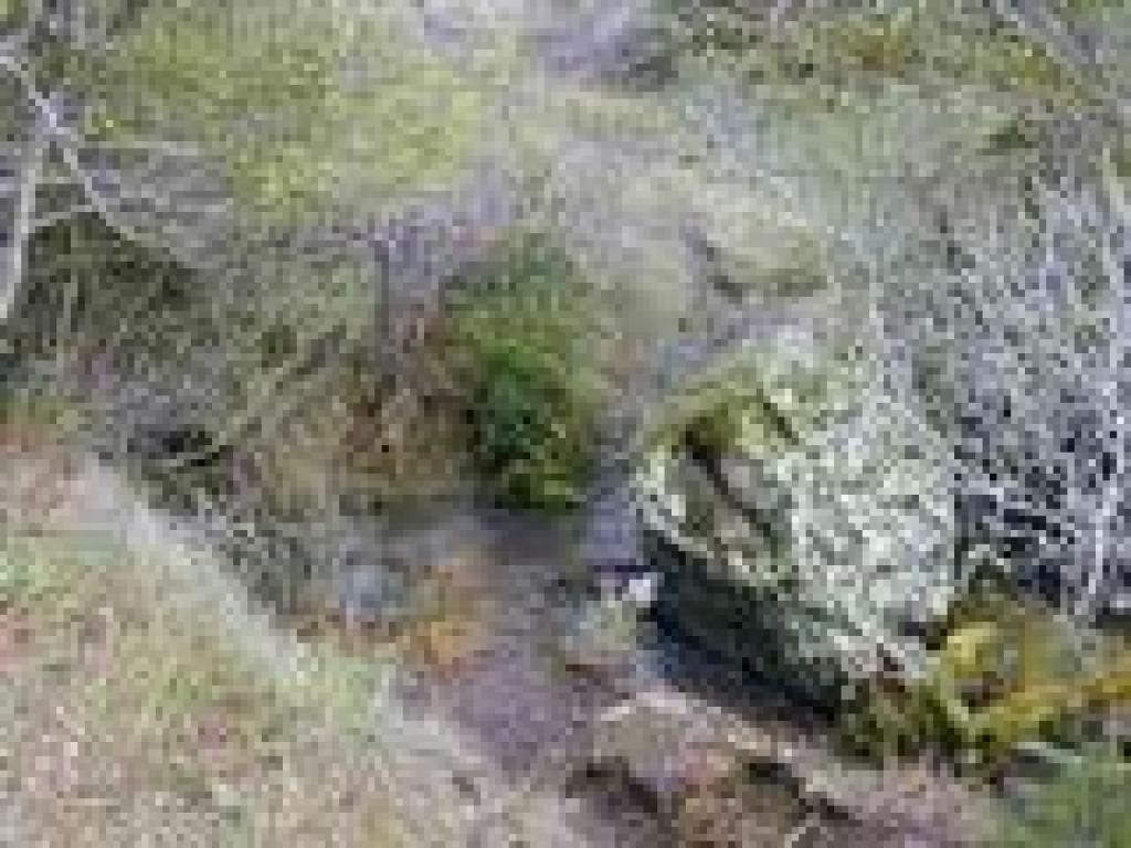 Hop across the creek