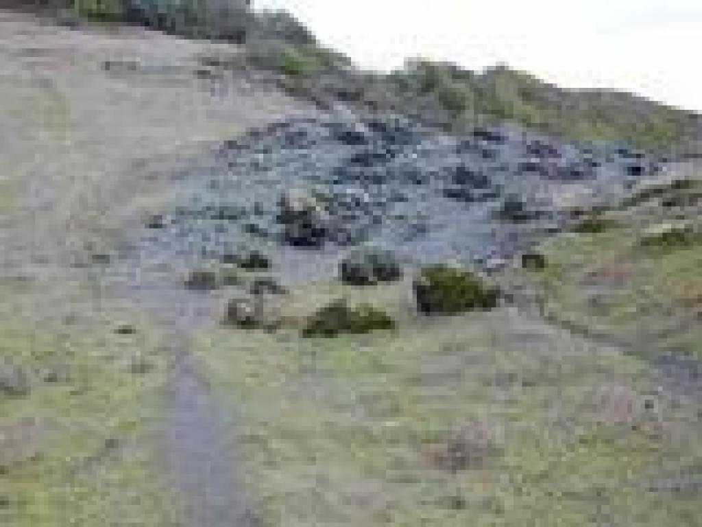 Serpentine swale