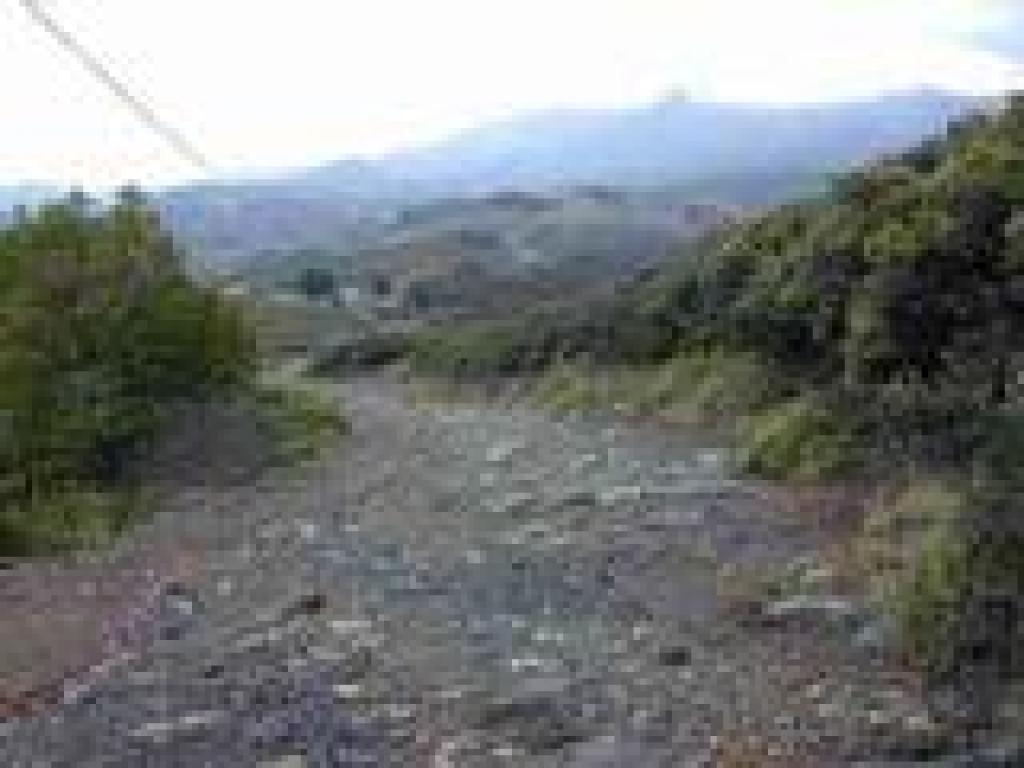Returning on Pine Mountain Road