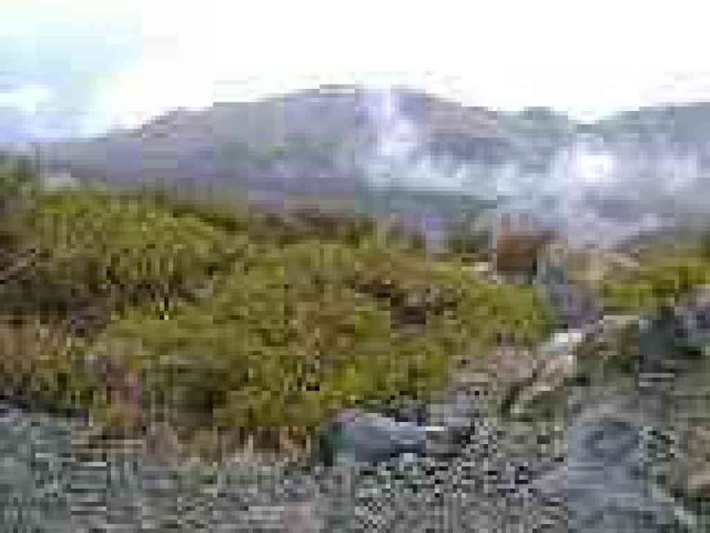 View northeast