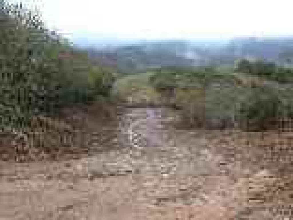 Oat Hill Road
