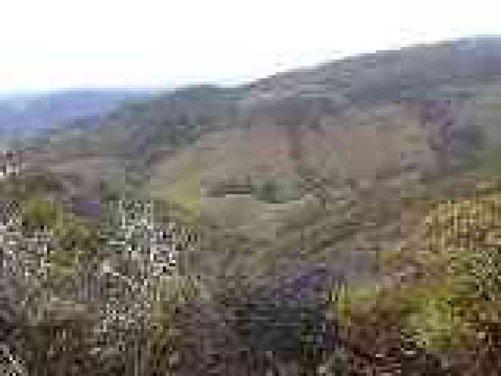 Looking uphill toward the top of Pine Mountain