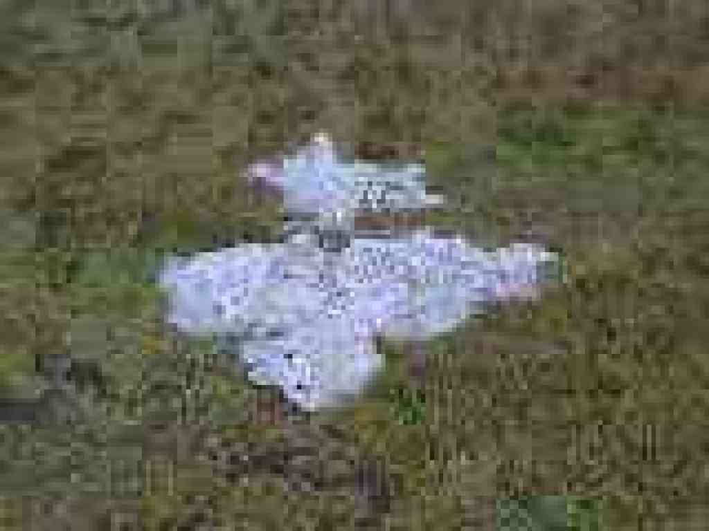 Patch of snow