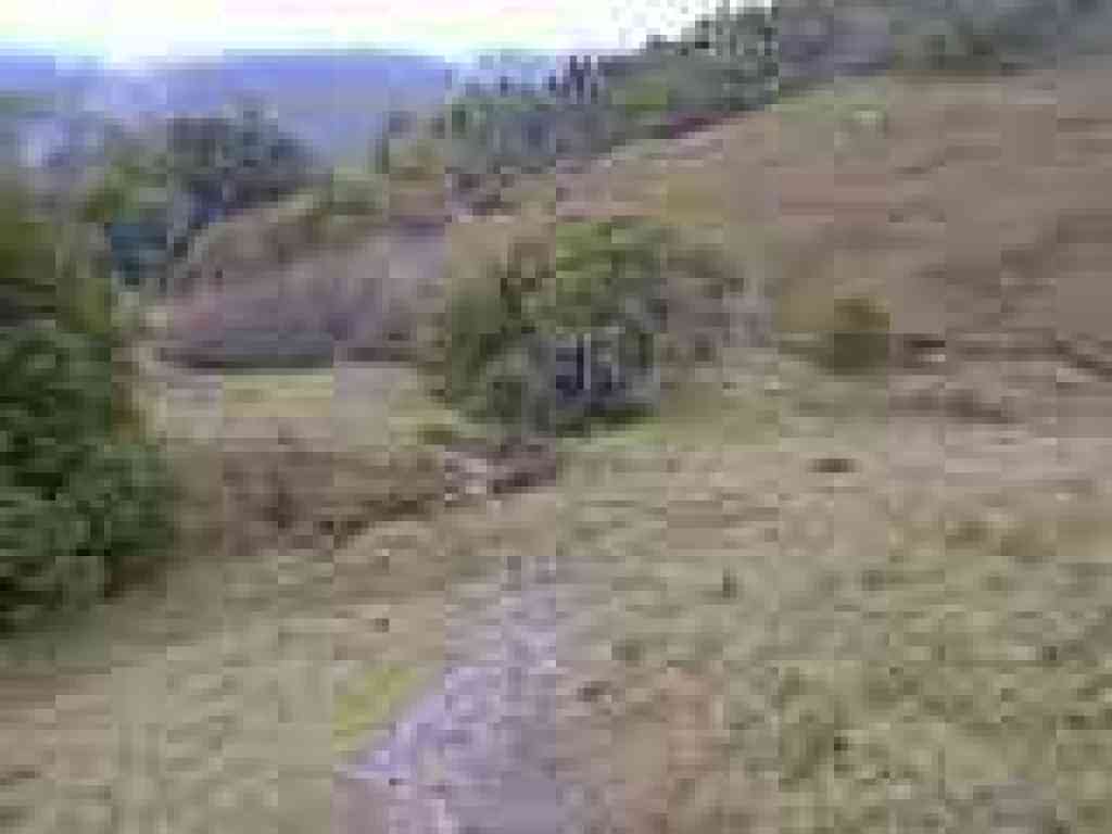 Path