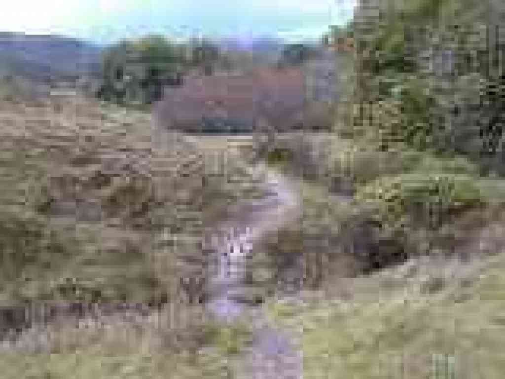 Crossing a feeder creek