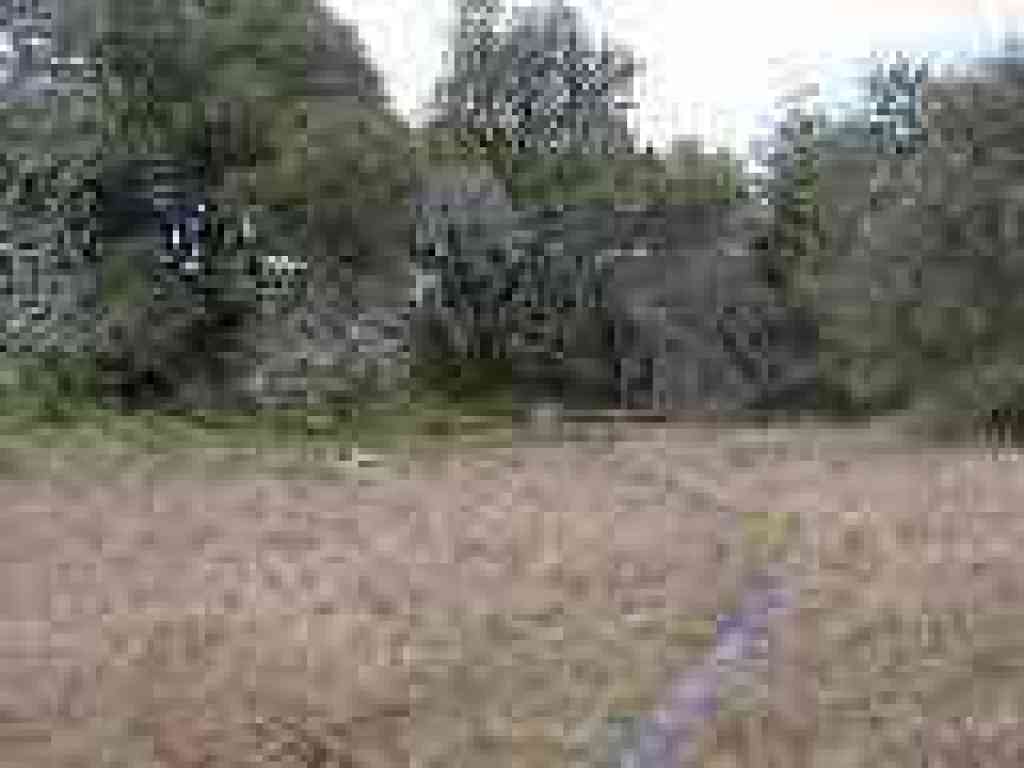 Near the falls