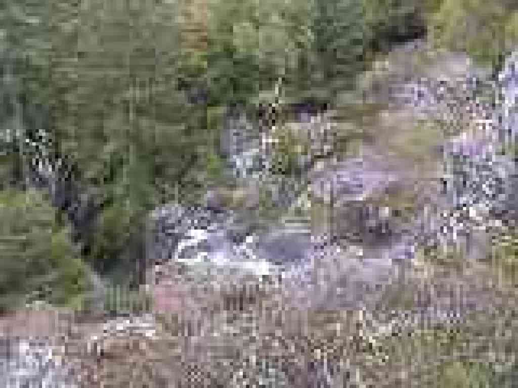 Another view