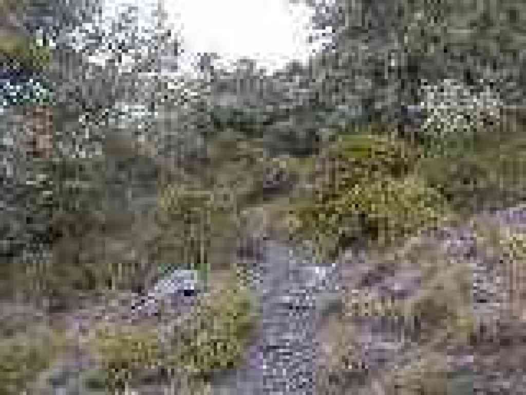 Path curves to the left and continues to climb
