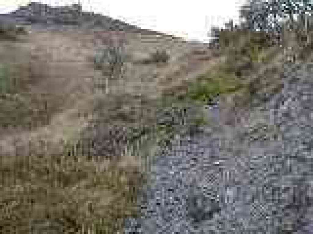 Almost to the fire road