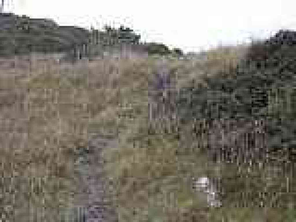 End of the path
