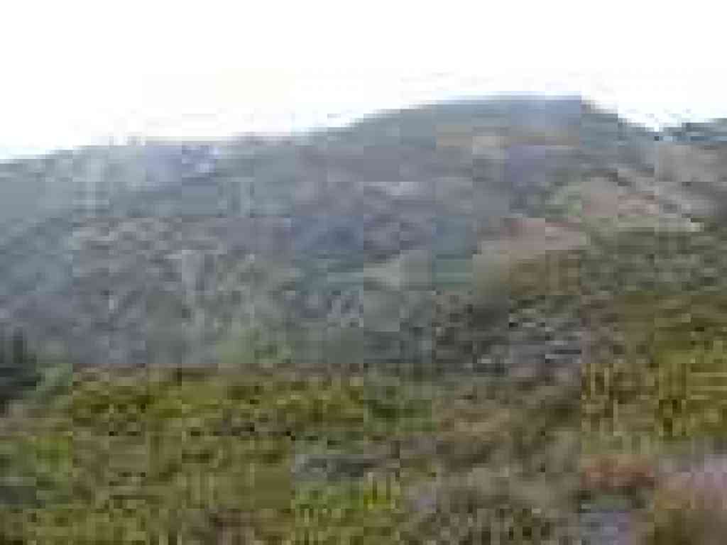 View to Carson Falls