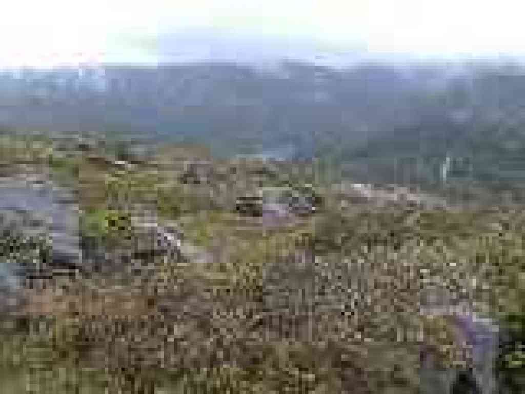 View to Alpine Lake