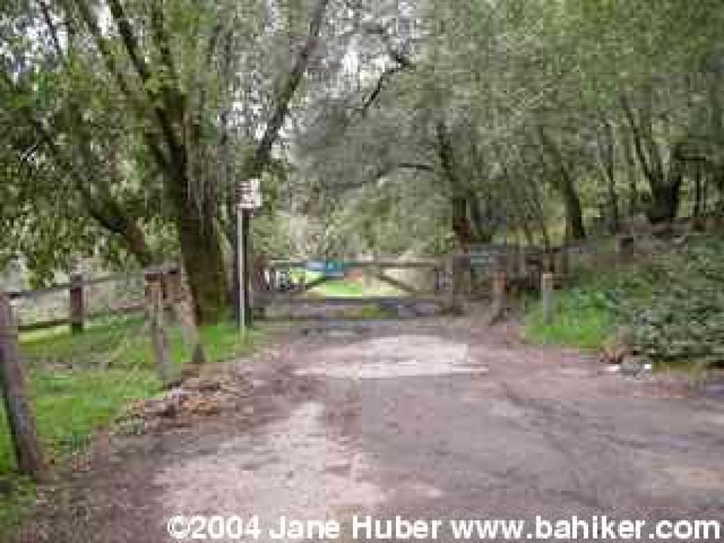 Preserve gate